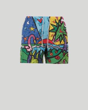Gustavia Placed Print -classic Swim Short